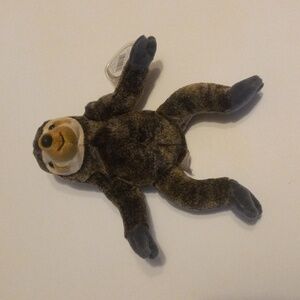 1999 ty Beanie Baby slowpoke the sloth